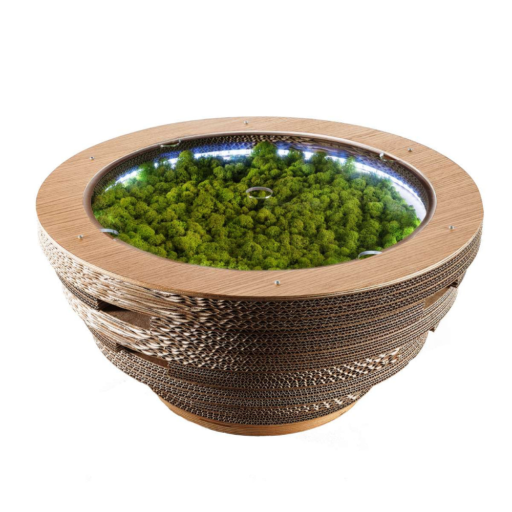 Cardboard and Wood Coffee Table TAPPO CON LICHENI XL 02