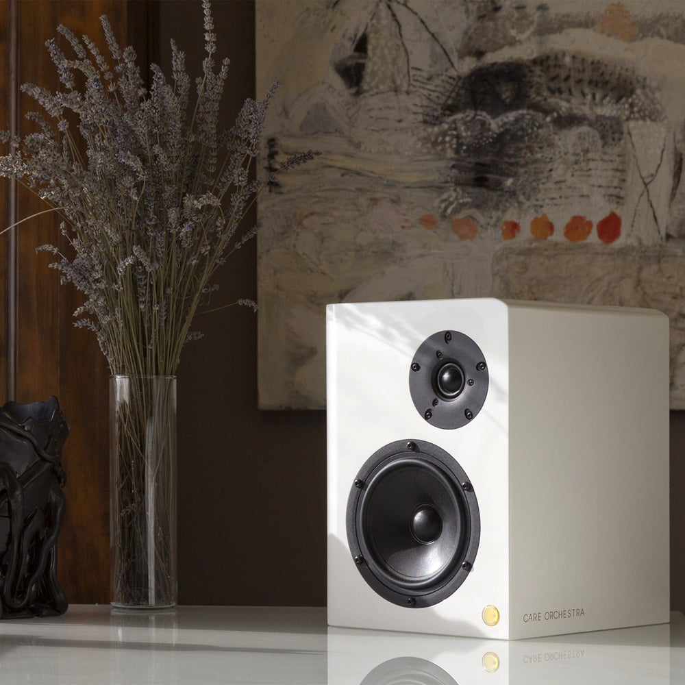 Matt Wood Loudspeakers DEEP BREATH with Amplifier - Set of Two 02